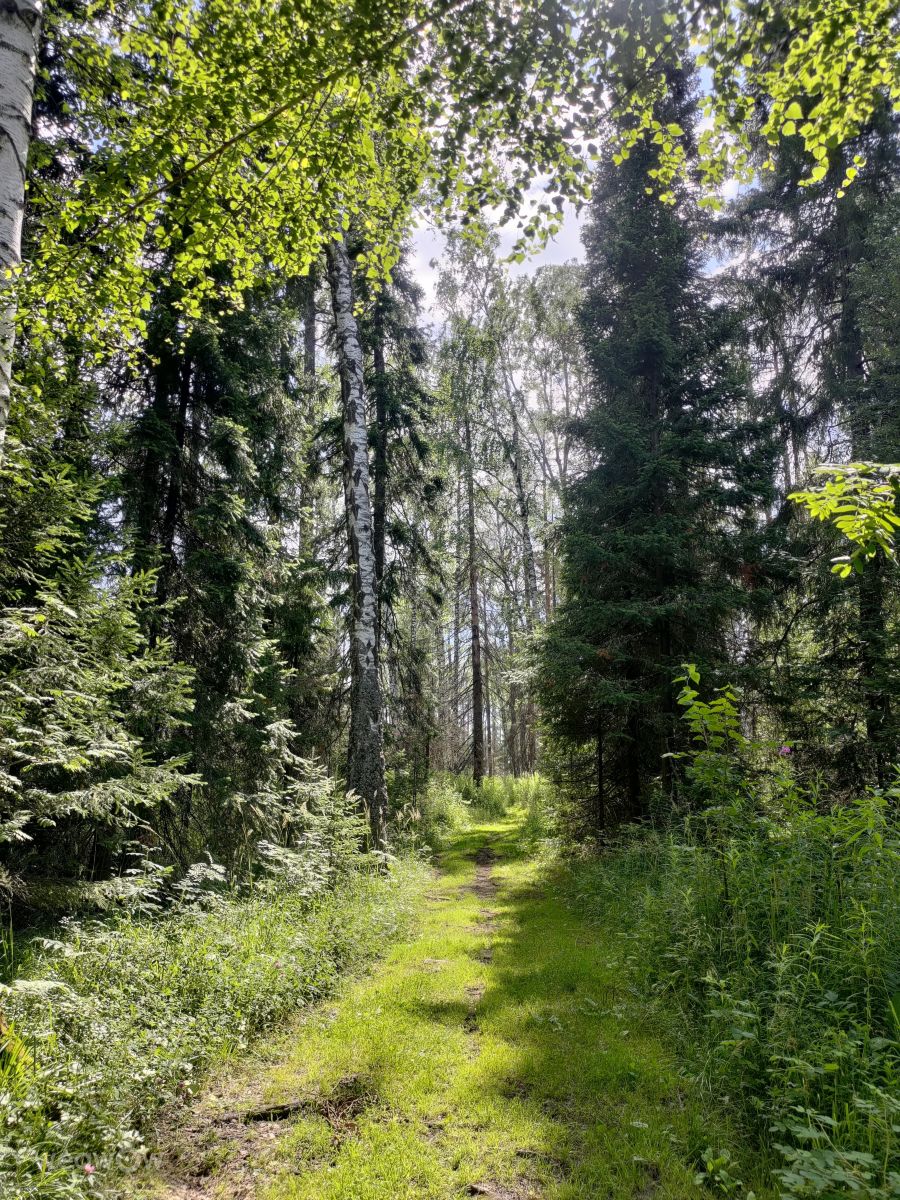 摄影师 Lara357，Degtyarsk的天气照片 - Weawow