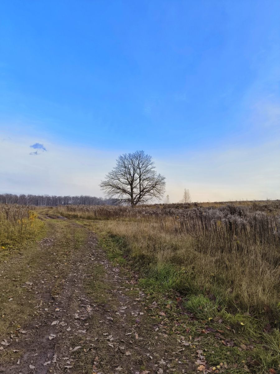 Fotos sobre el clima en Tula. Pronósticos del tiempo con hermosas fotos de Aleksei