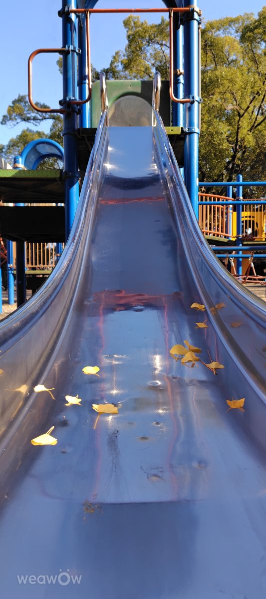 Weather forecasts with beautiful photos by umemui