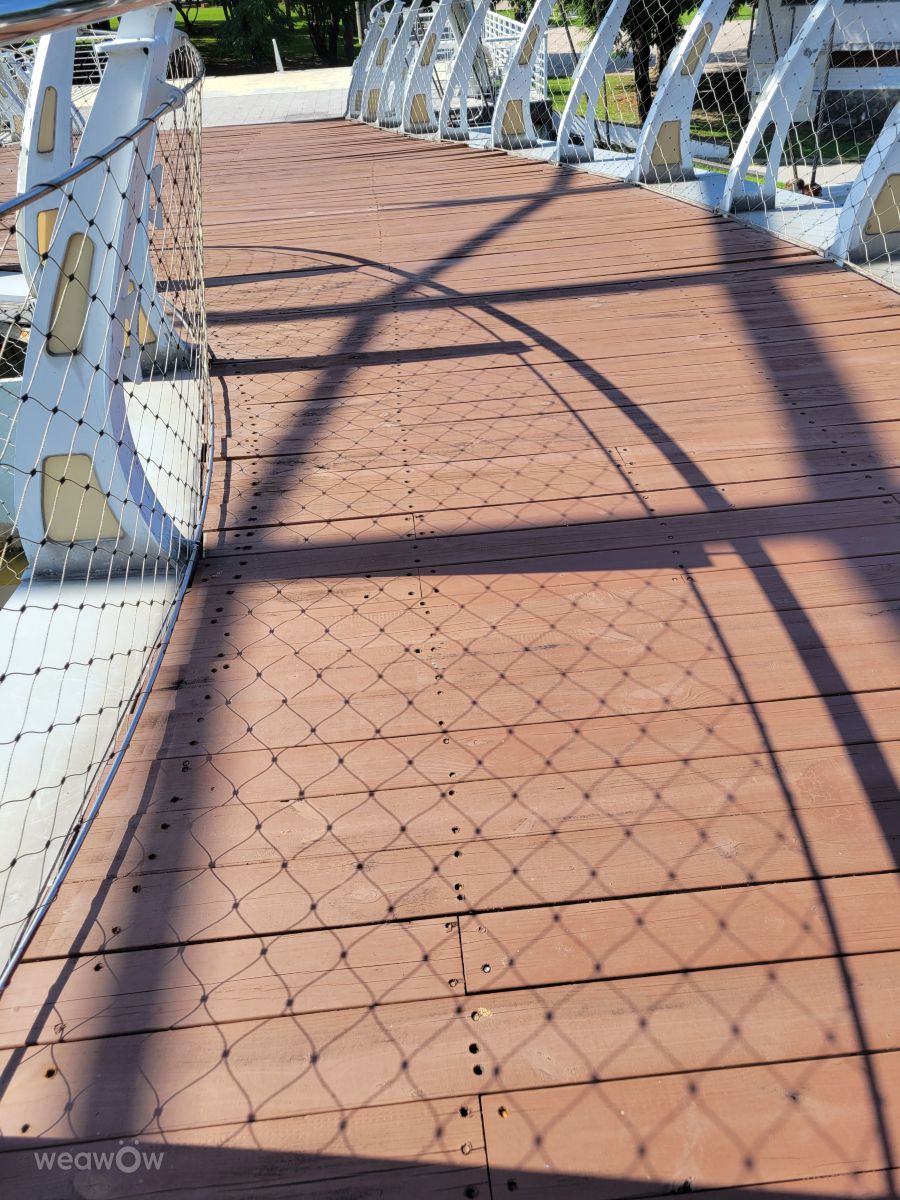 Photographer Tch, Weather Photos in 高雄 - Weawow