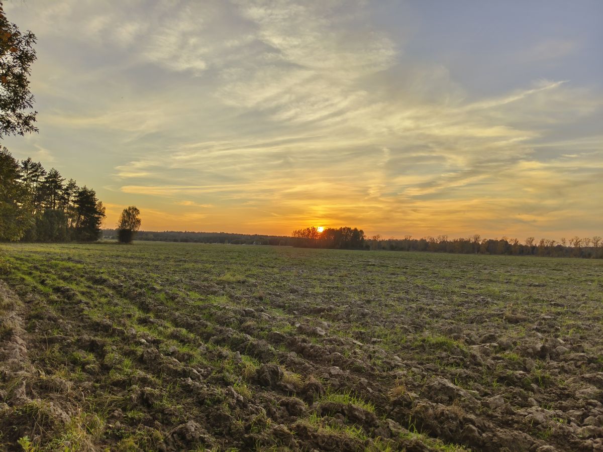 Photos météo à Taroussa. Prévisions météo avec de superbes photos de Aleksei