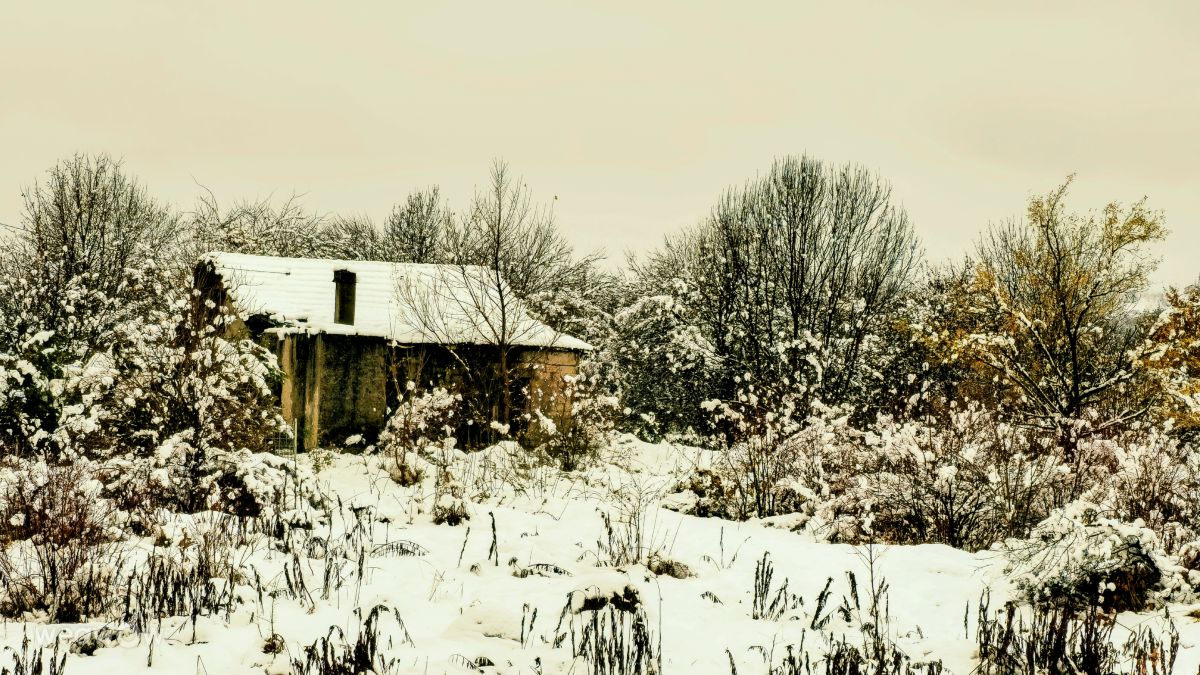 Weather forecasts with beautiful photos by MR