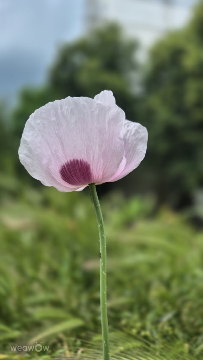 キーウの天気写真. Catbageの美しい写真による天気予報
