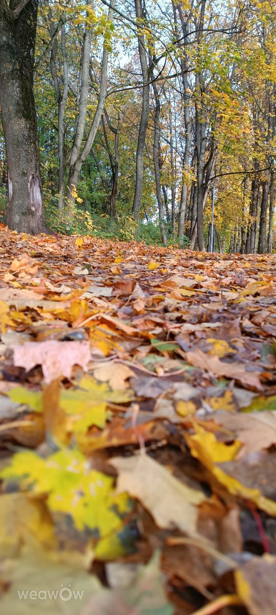 Weather Photos in Тернопіль. Weather forecasts with beautiful photos by Ivan Barskiy