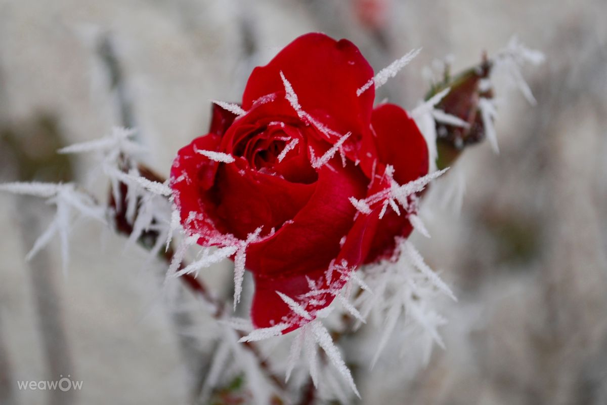 Dự báo thời tiết với những bức ảnh đẹp của Marcela Cervenakova