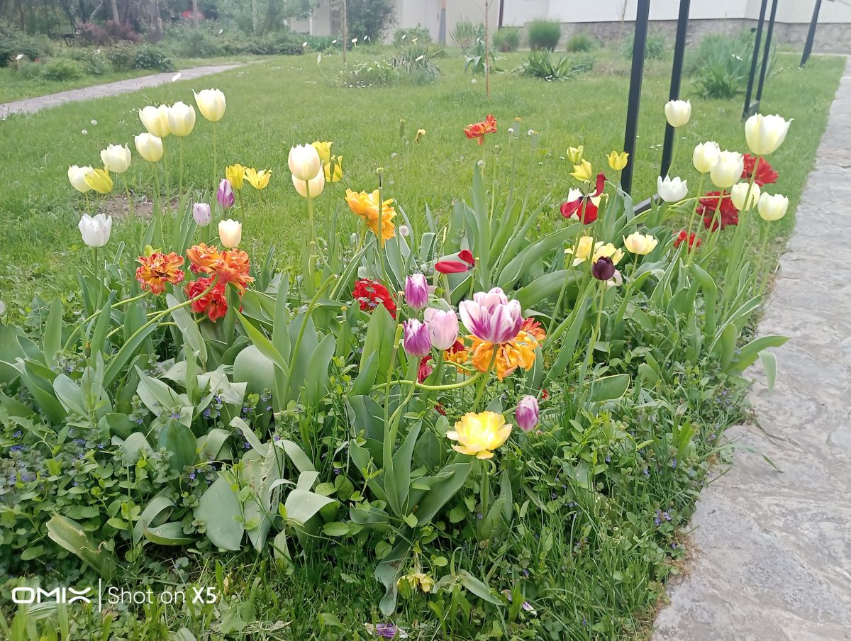 Fotos sobre el clima en Belgrado. Pronósticos del tiempo con hermosas fotos de CAMELOT