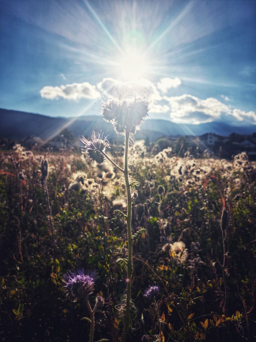 Photographer Asarii, Weather Photos in Villach - Weawow