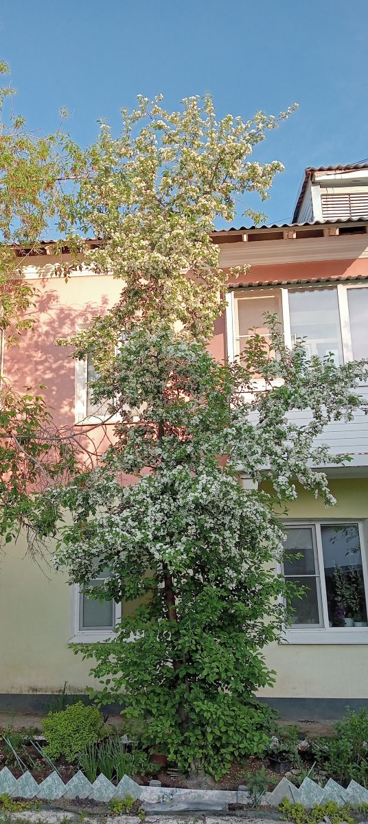 Hình ảnh Thời tiết ở Pervouralsk. Dự báo thời tiết với những bức ảnh đẹp của Blitz