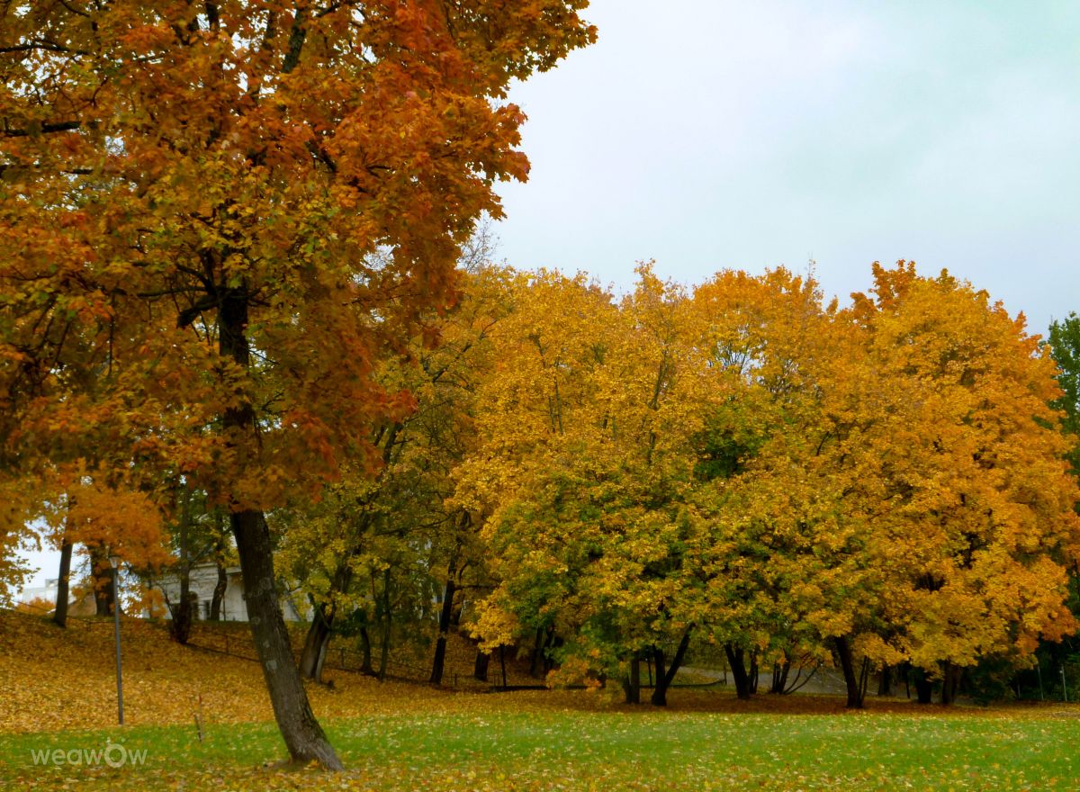 Fotos do tempo em Vilnius. Previsões do tempo com lindas fotos de Luka