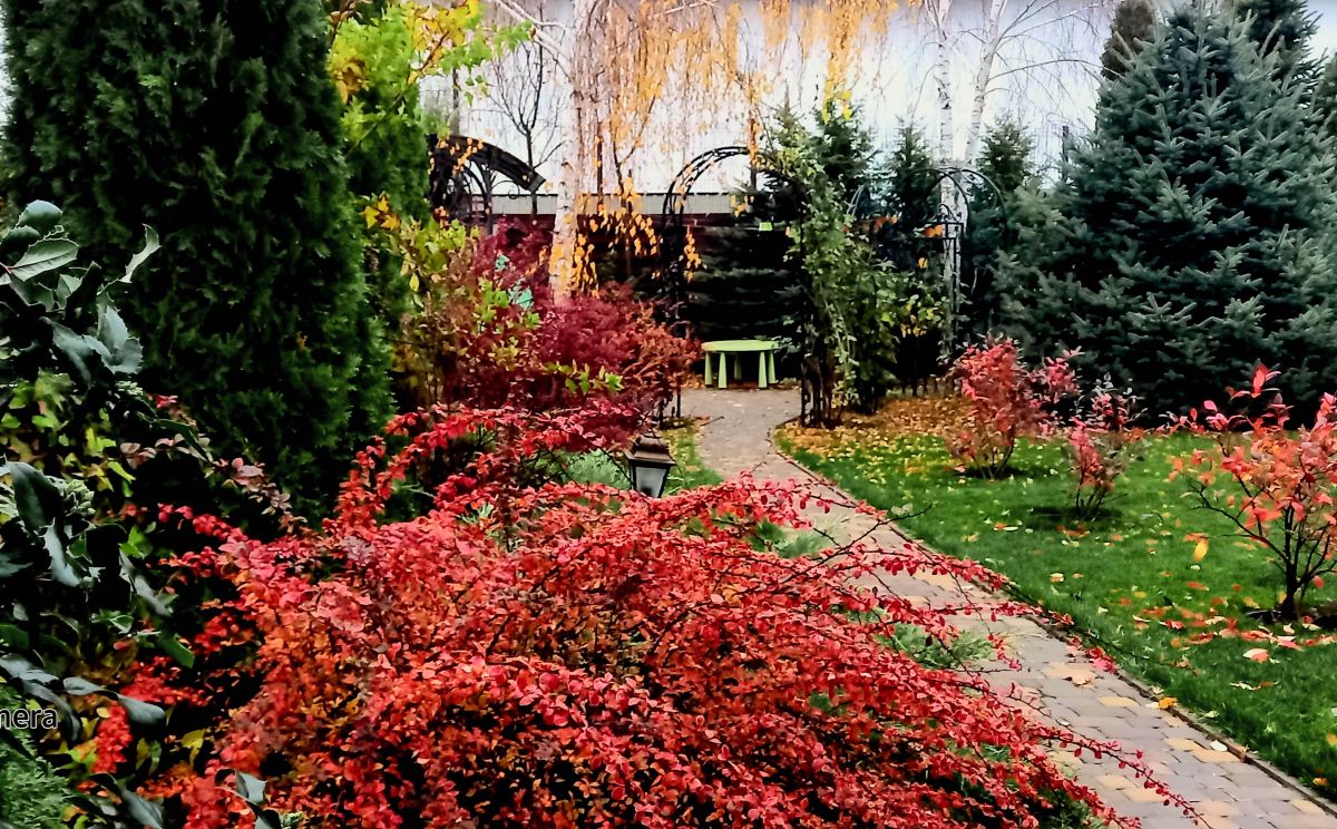 Фотографии Погоды в Киев. Прогнозы погоды с чудесными фотографиями, сделанными Aleks Ef