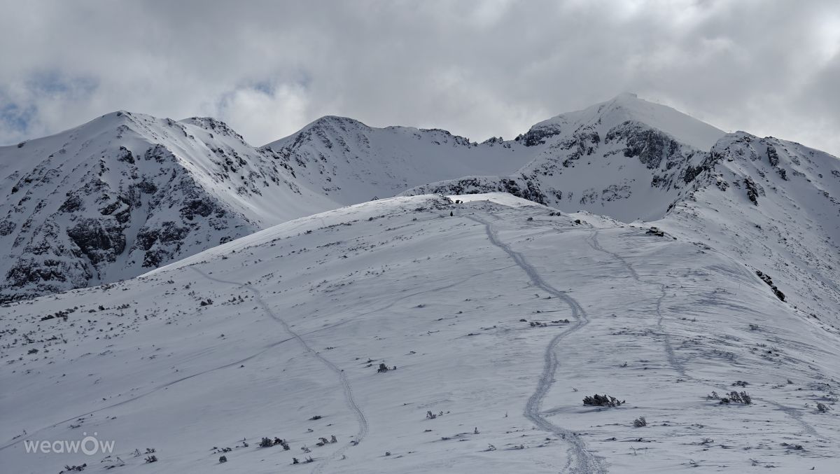 Previsões do tempo com lindas fotos de Rosiii