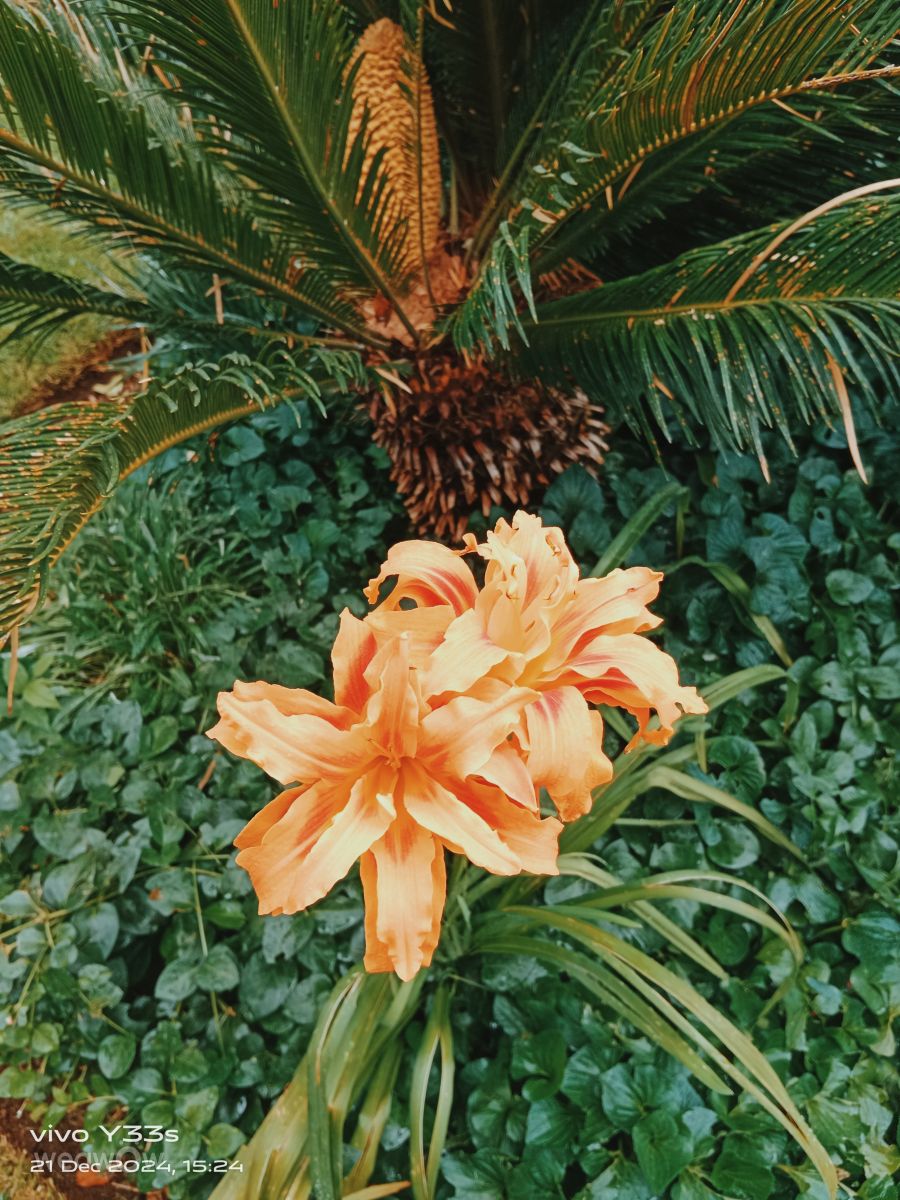 Fotos do tempo em Gauteng. Previsões do tempo com lindas fotos de Deon Joubert