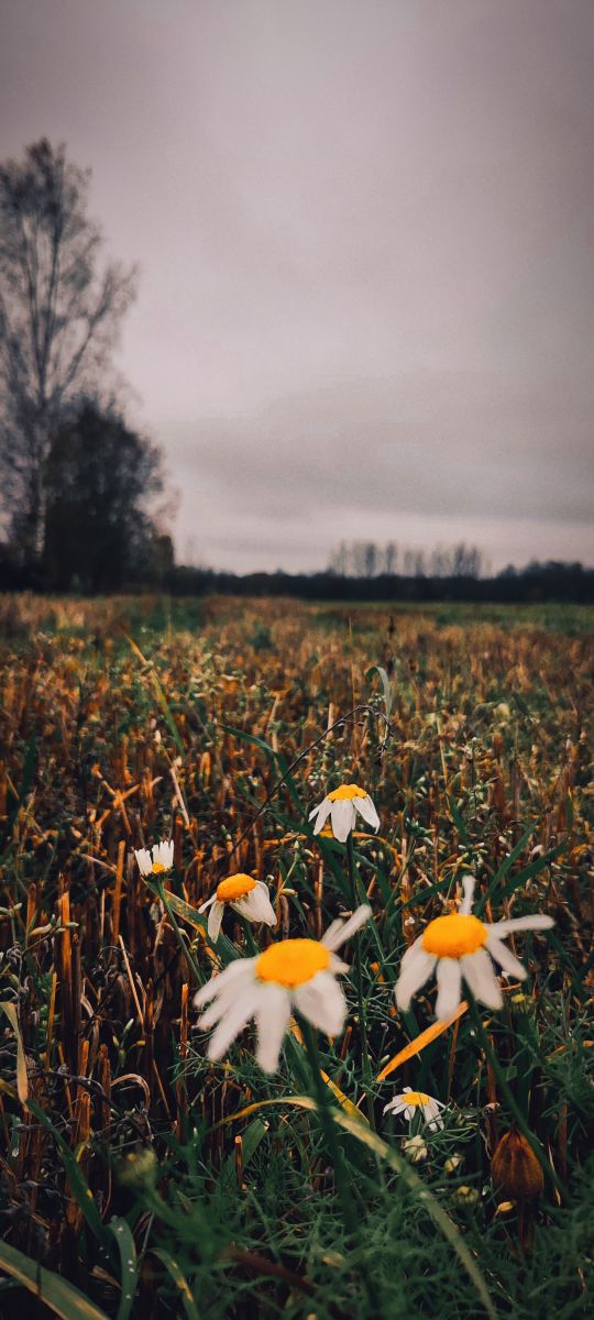 Photographer Natallia, Weather Photos in Viciebskaja voblasć - Weawow