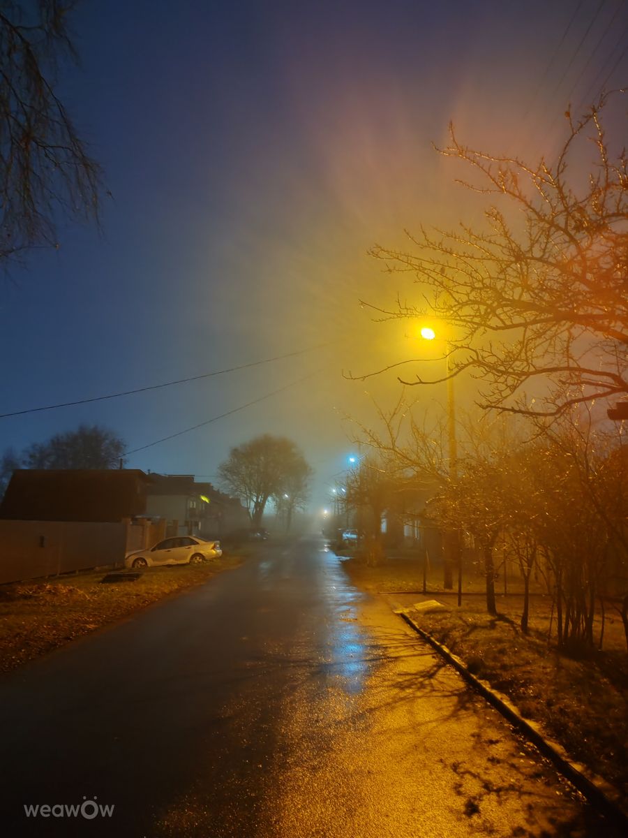 ホメリの天気写真. Nina_の美しい写真による天気予報
