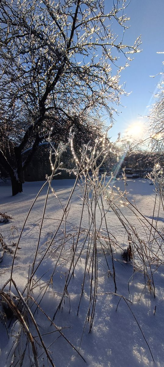 Фотографии Погоды в Киев. Прогнозы погоды с чудесными фотографиями, сделанными Michael_1969