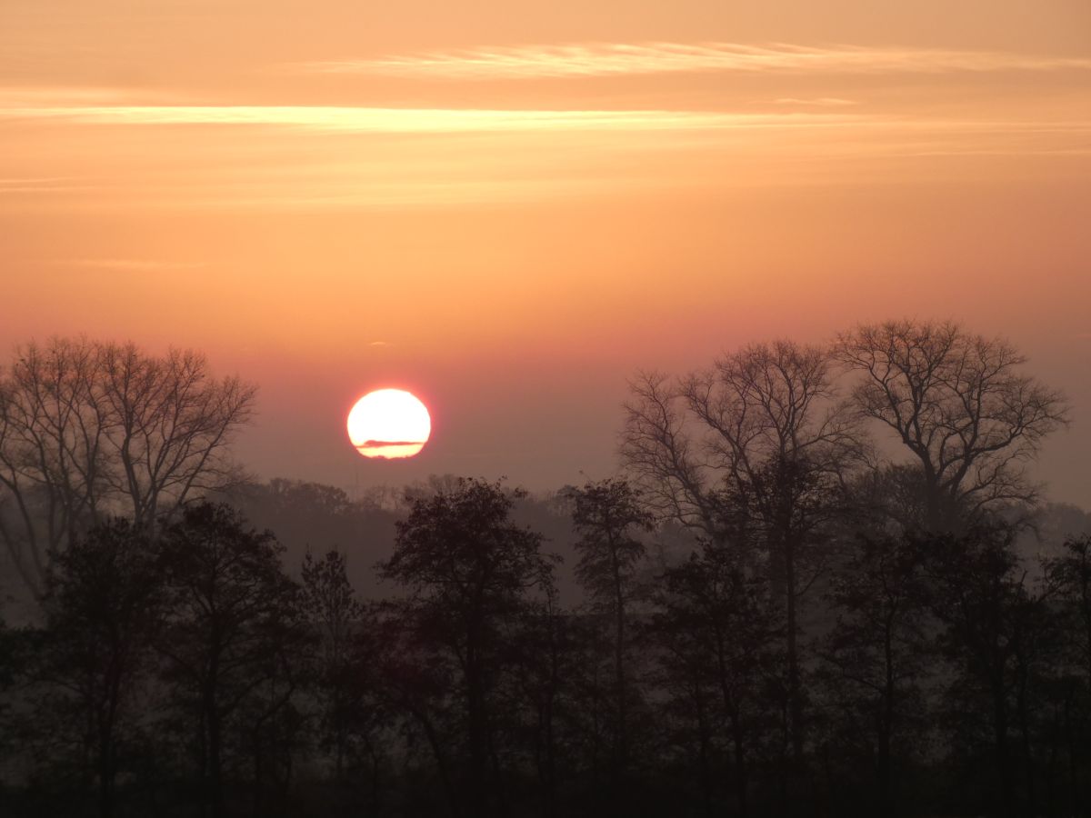 Фотограф fwerner, Фотографии Погоды в Dangast - Weawow