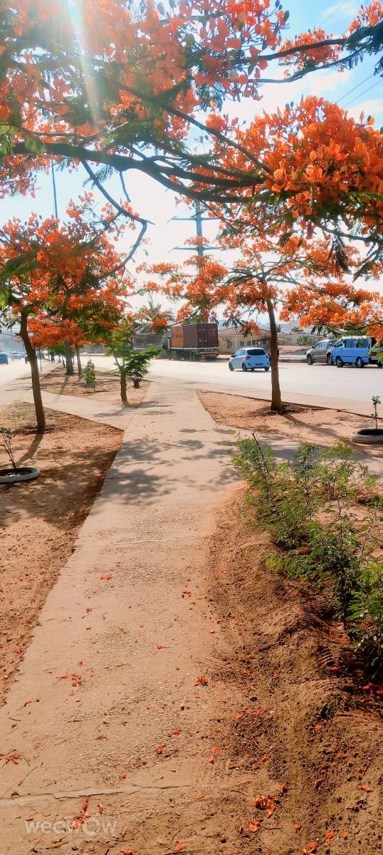 Weather Photos in Angola. Weather forecasts with beautiful photos by Armando-19