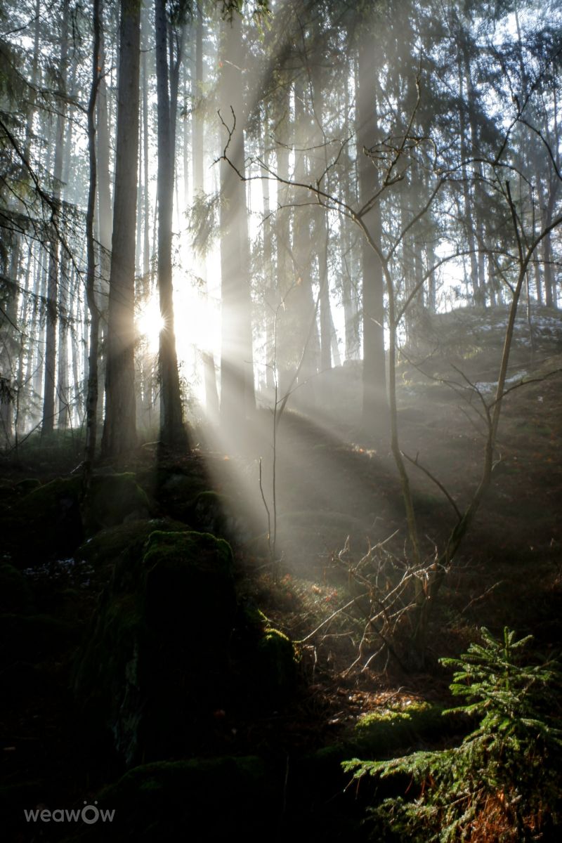 Plzeň Regionの天気写真. hejpetrpepaの美しい写真による天気予報