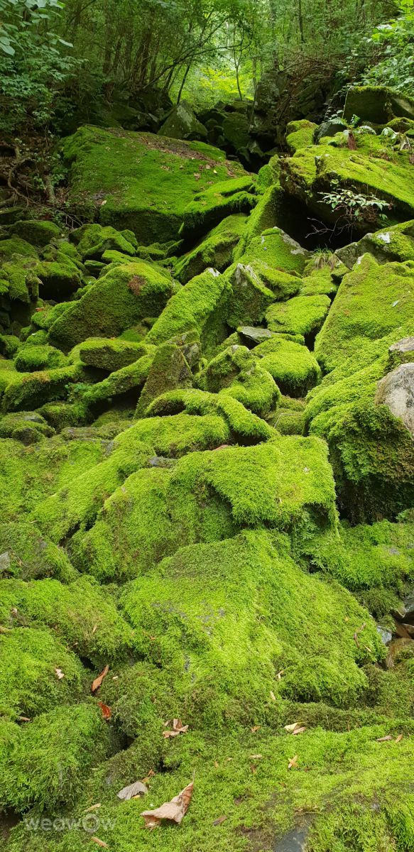 Photographer JHKang, Weather Photos in Pyeongchanggun Weawow