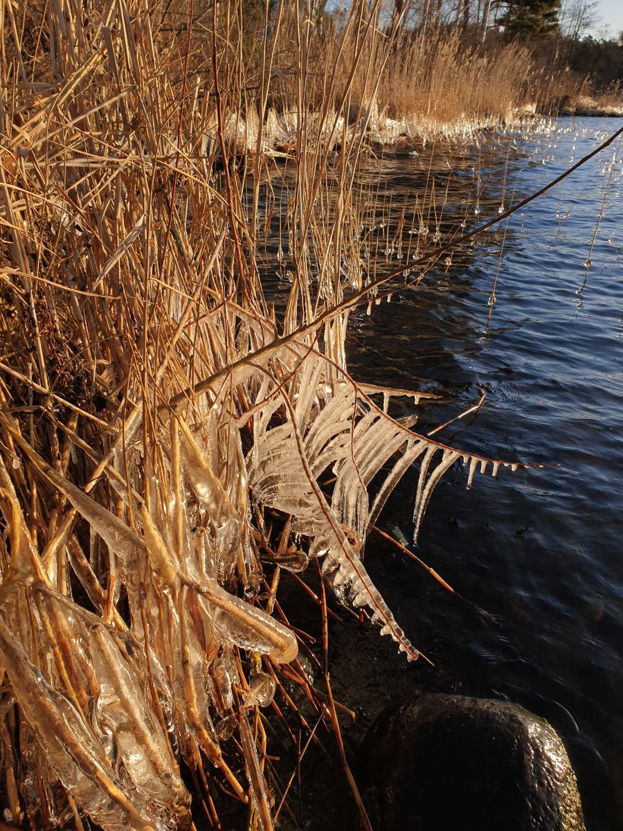 Фотографии Погоды в Швеция. Прогнозы погоды с чудесными фотографиями, сделанными Silvestre97
