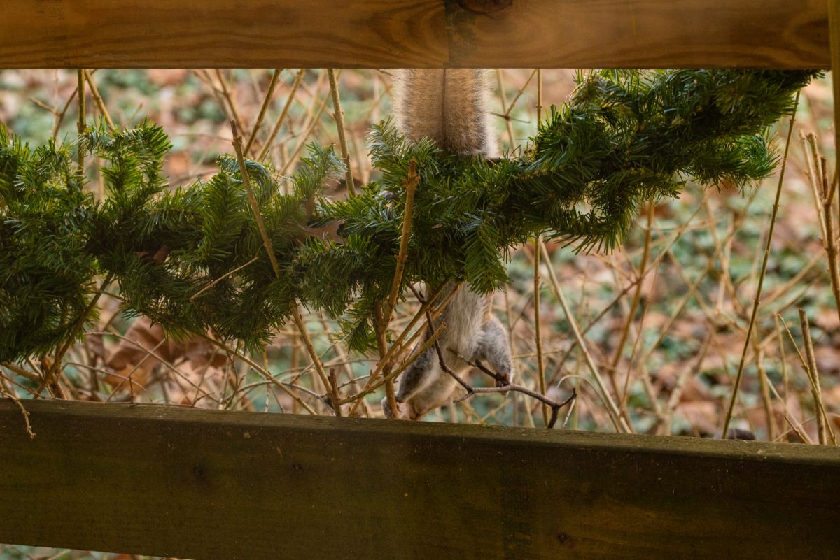 Фотограф krantzjh, Фотографии Погоды в Hanover - Weawow