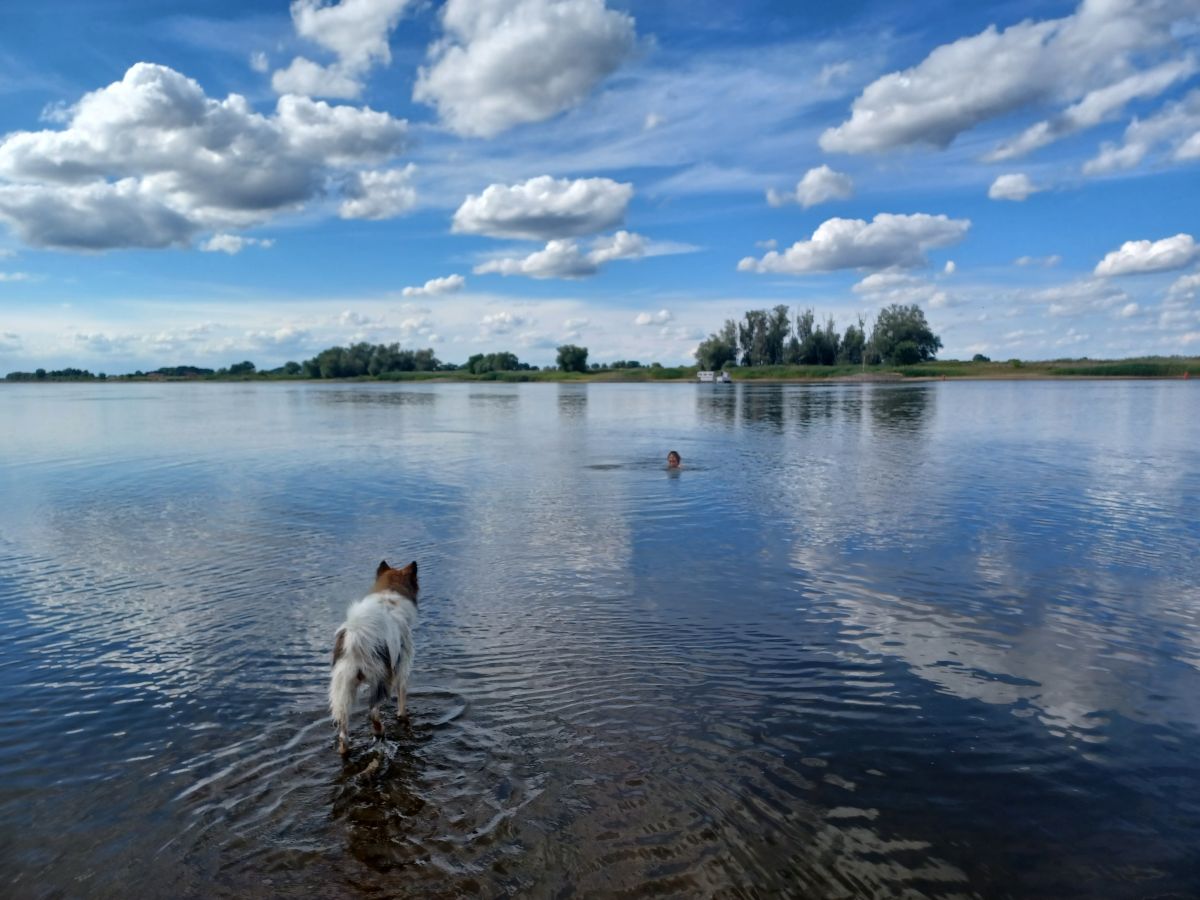 Photographer Hikey, Weather Photos in Hitzacker (Elbe) - Weawow