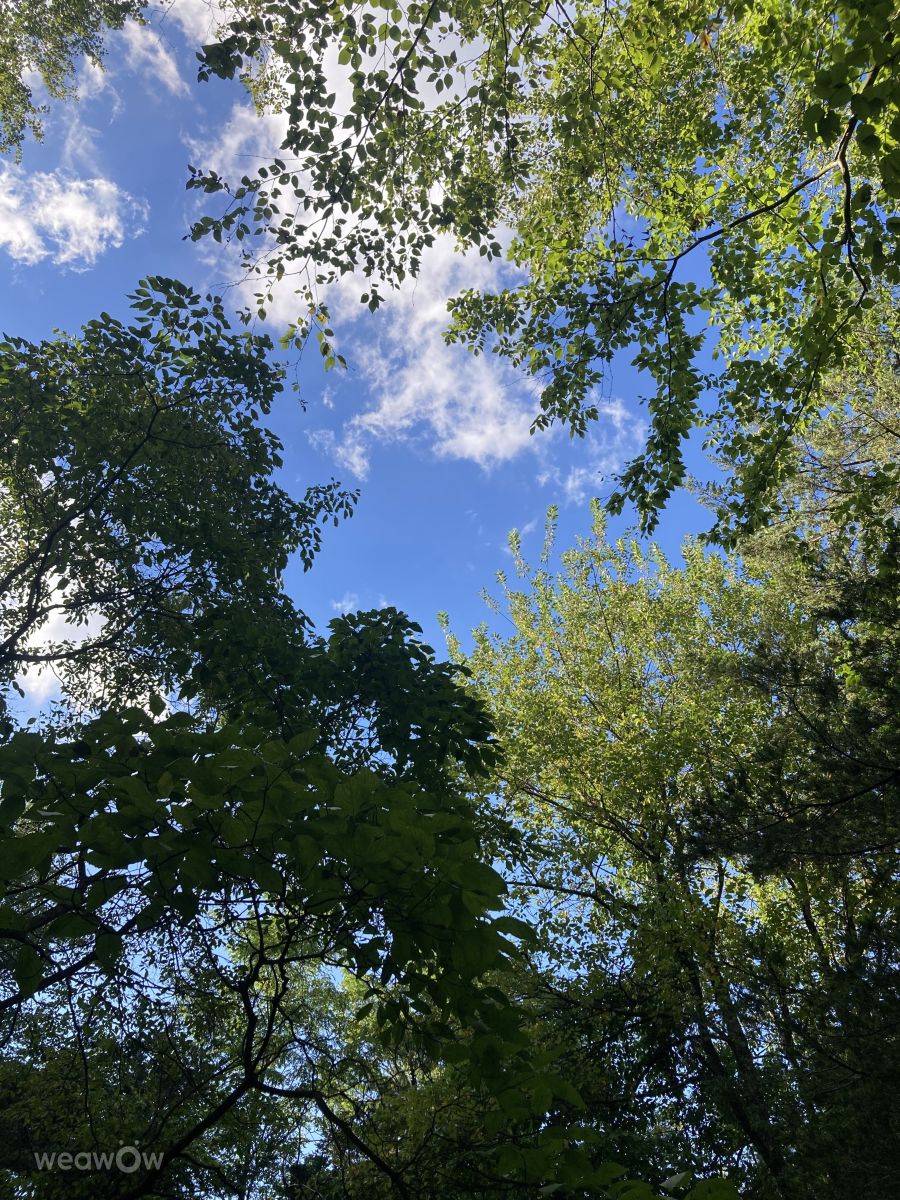 新泽西州的天气照片. 天气预报，带PermanentInc精美的照片