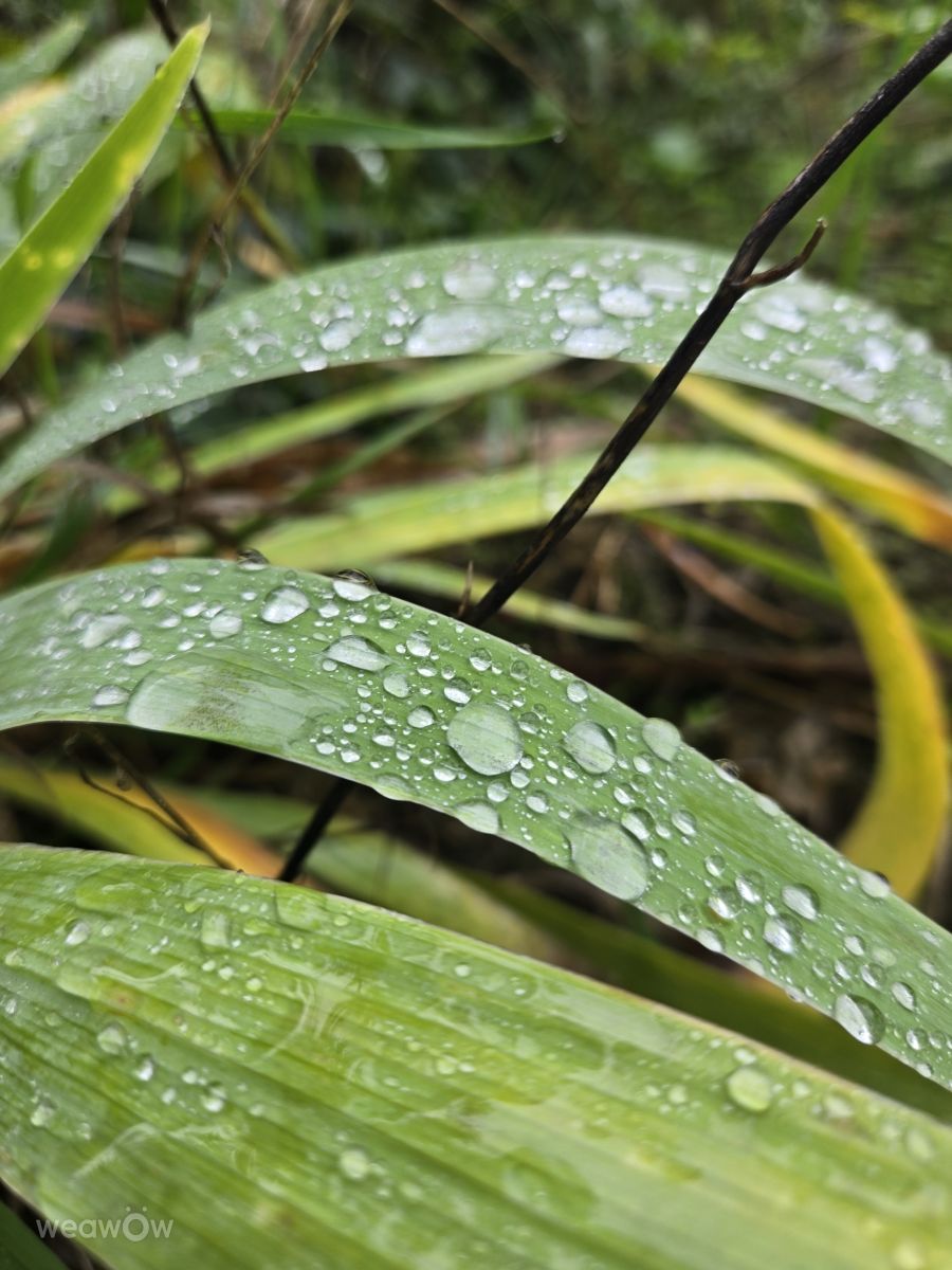 Pronósticos del tiempo con hermosas fotos de MariaLemann