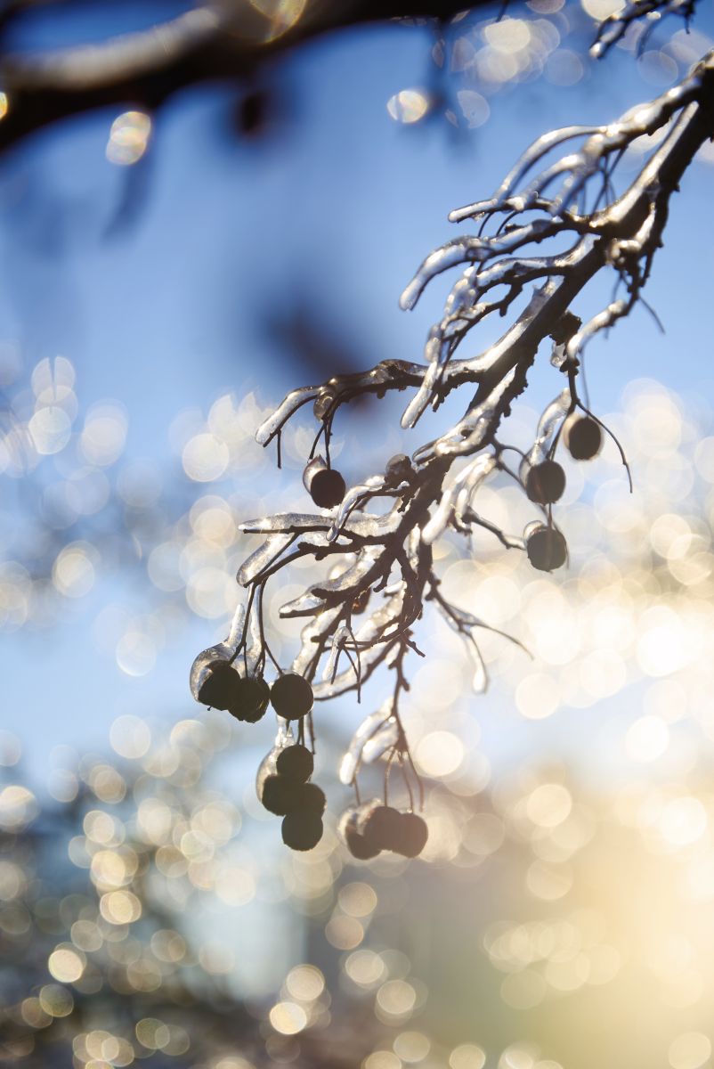 Fotos do tempo em Minsk. Previsões do tempo com lindas fotos de Gastronom
