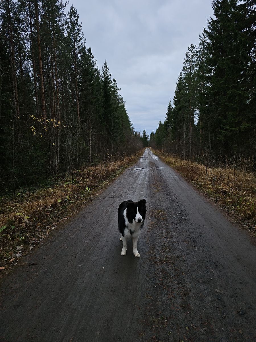 Photos météo à Ostrobotnie du Nord. Prévisions météo avec de superbes photos de Piia