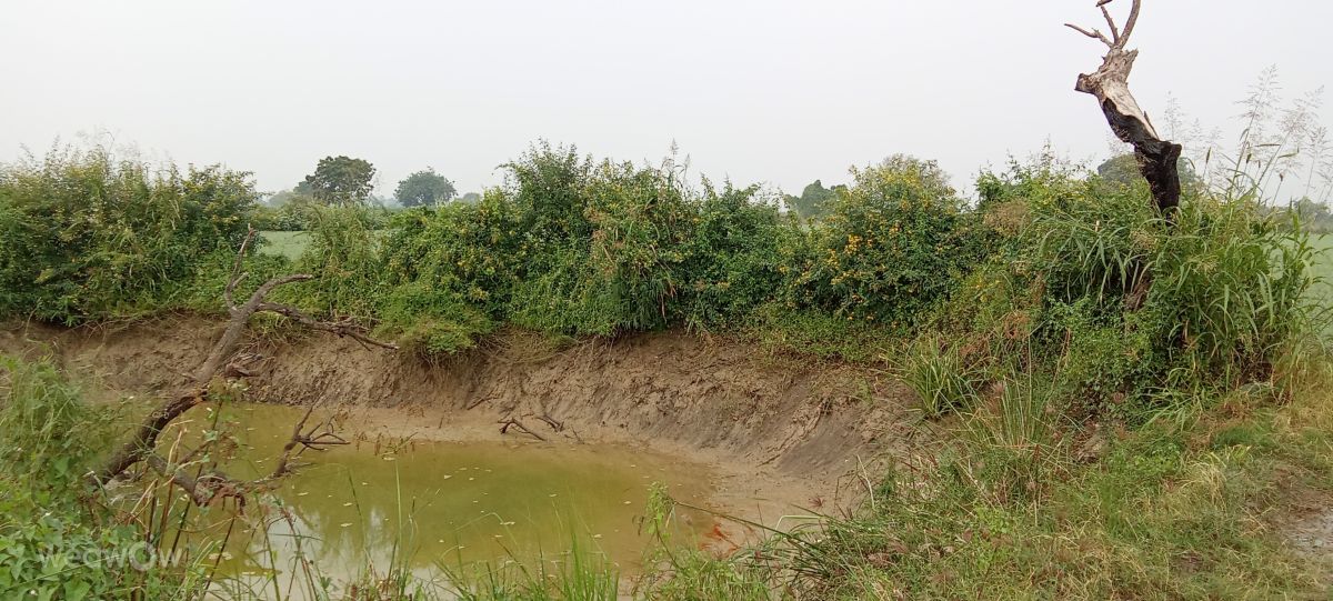 Hình ảnh Thời tiết ở Ấn Độ. Dự báo thời tiết với những bức ảnh đẹp của Imadabattini Bosu Babu