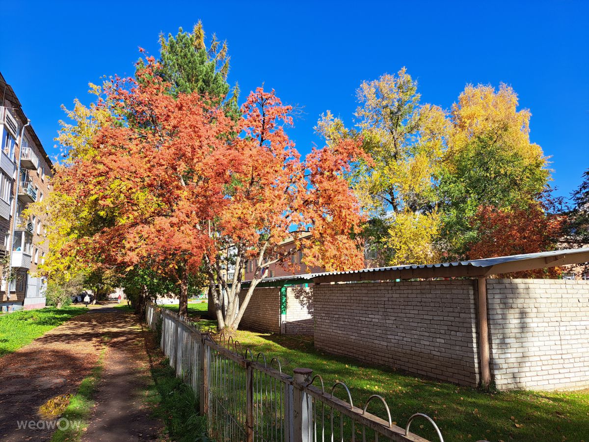 Fotos sobre el clima en Nazarovo. Pronósticos del tiempo con hermosas fotos de Natalie_siberia