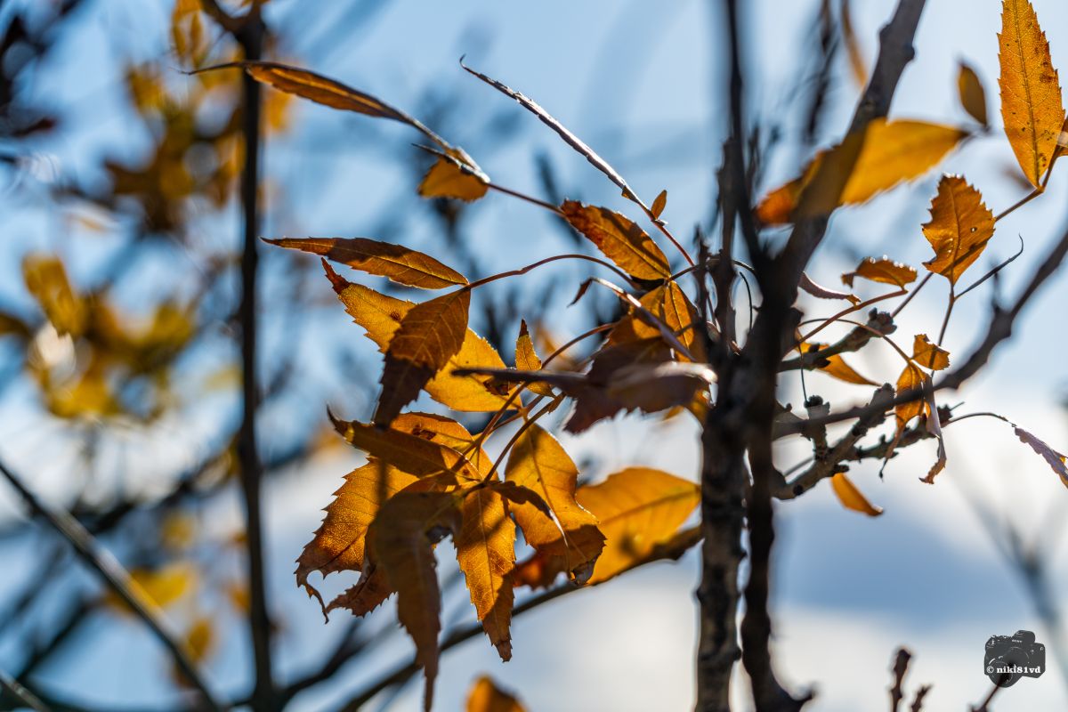 Фотографии Погоды в Пловдив. Прогнозы погоды с чудесными фотографиями, сделанными niki81vd