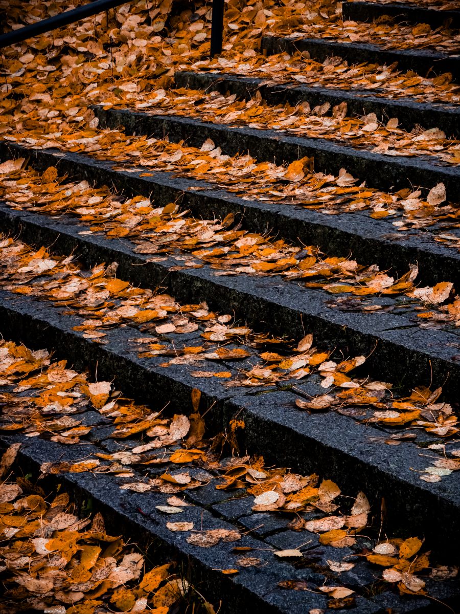 Photos météo à Finlande. Prévisions météo avec de superbes photos de Александр Васильевич