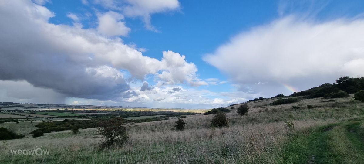 Photographer DaB, Weather Photos in Martin - Weawow