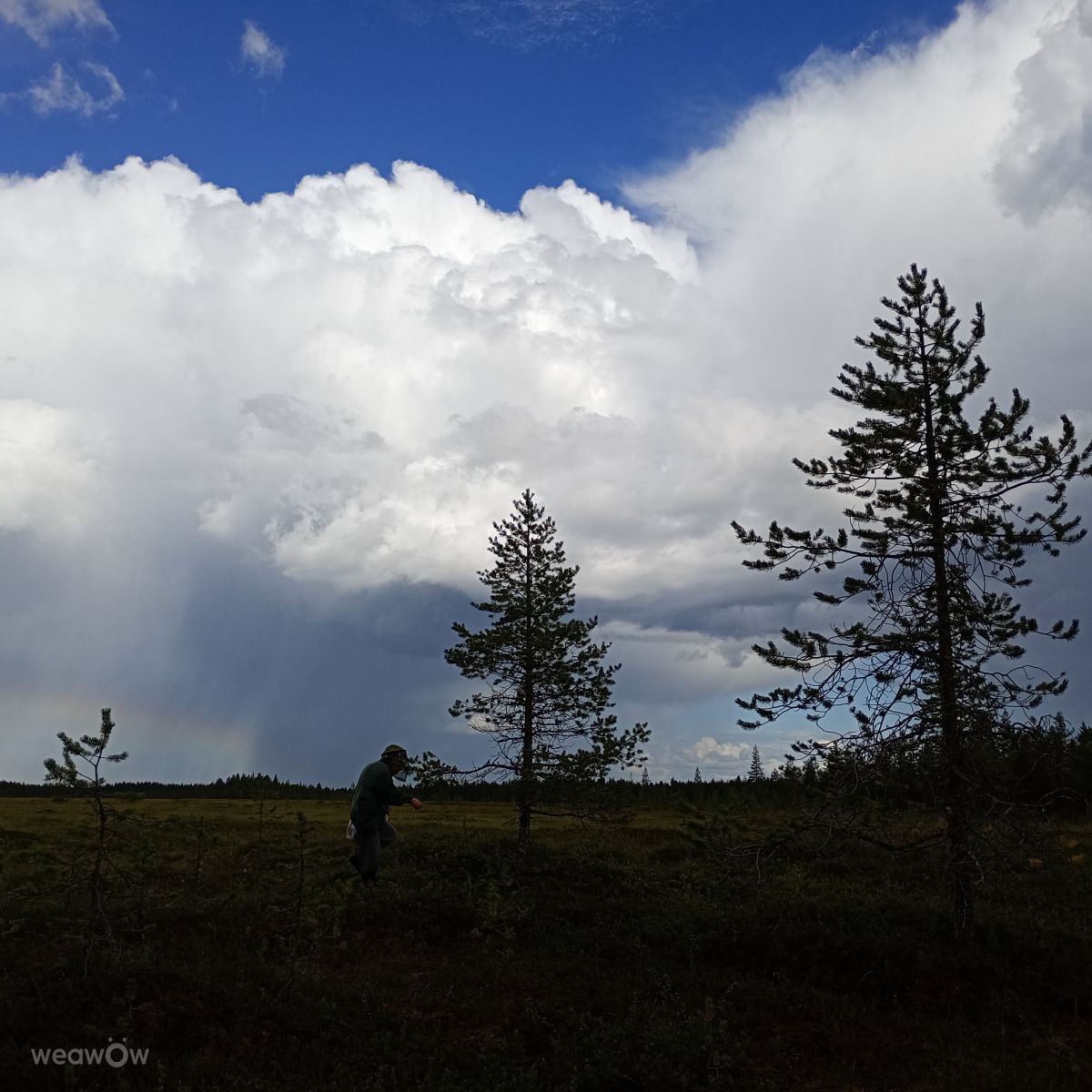 Hình ảnh Thời tiết ở Lapland. Dự báo thời tiết với những bức ảnh đẹp của Juki