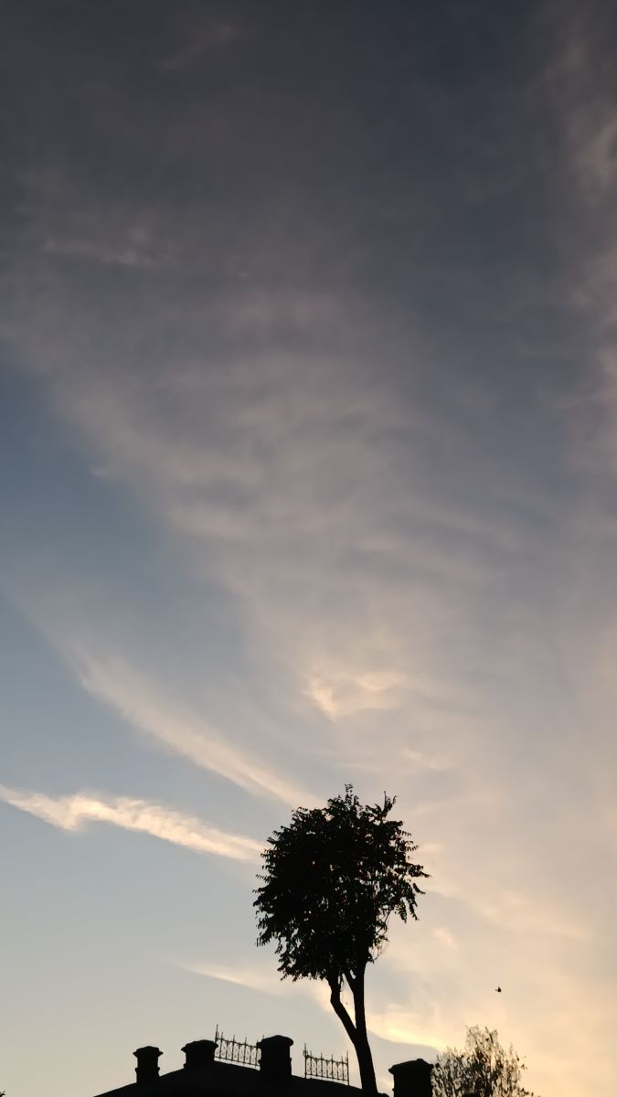 Fotógrafo YanBog, Fotos sobre el clima en București - Weawow