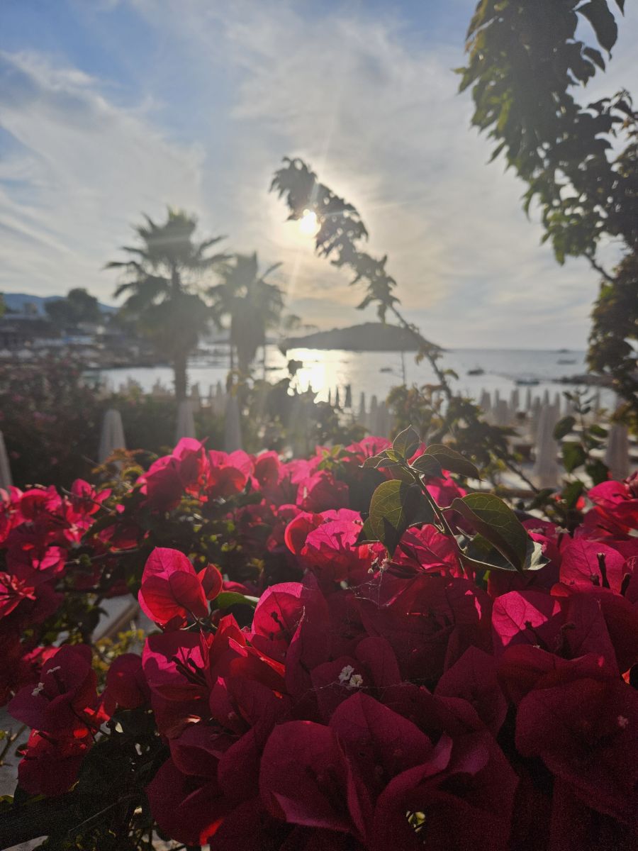 Weather forecasts with beautiful photos by KatreKal