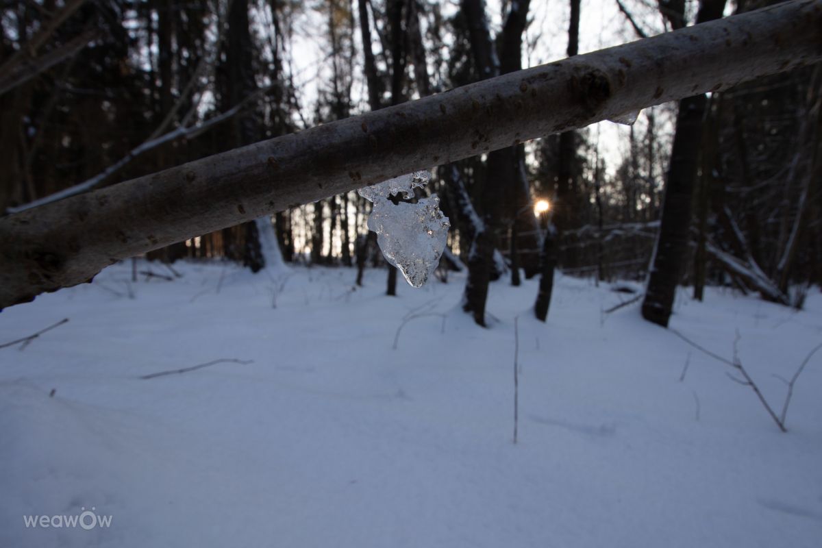 Fotos do tempo em Svetlogorsk. Previsões do tempo com lindas fotos de vintilator