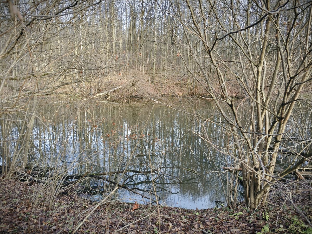 Wetter Photos Tul'skaya Oblast'. Wettervorhersagen mit schönen Fotos von Aleksei