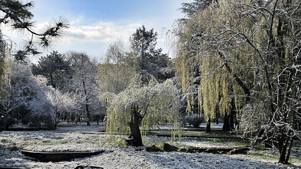 Weather Photos in Simferopol. Weather forecasts with beautiful photos by Djorian