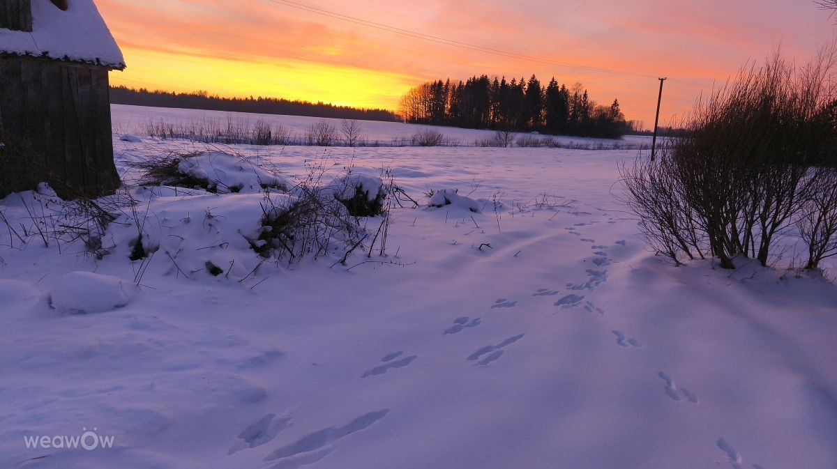 Weather forecasts with beautiful photos by Valiukas