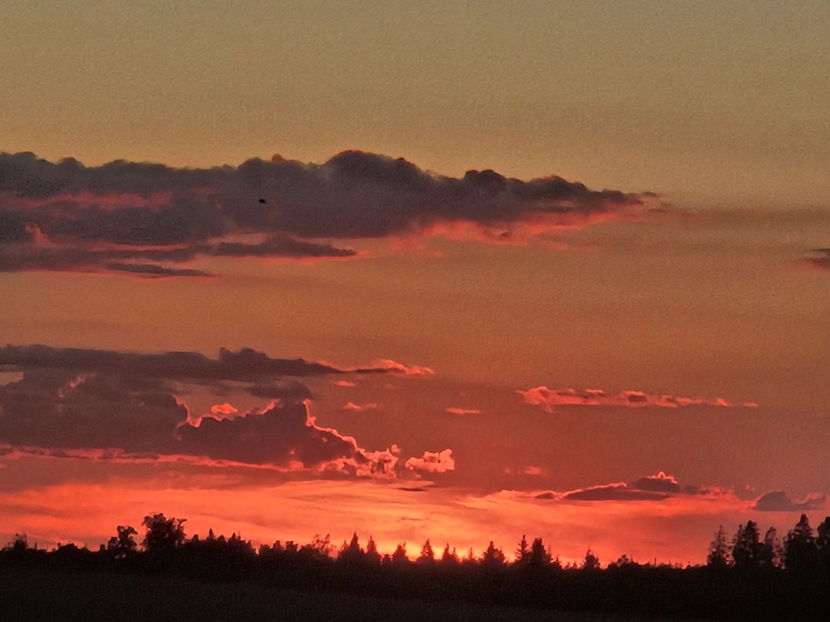 Weather Photos in Lääne-Virumaa. Weather forecasts with beautiful photos by KatreKal