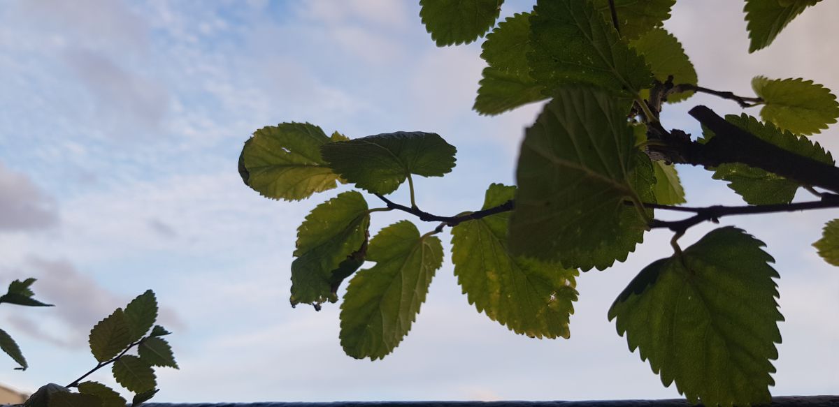 Photographer deliagt, Weather Photos in Madrid - Weawow