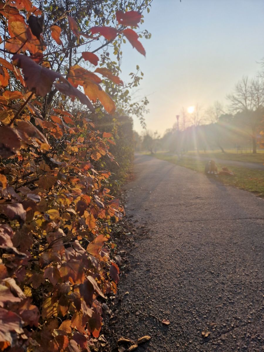 Weather Photos in Chernihiv. Weather forecasts with beautiful photos by Juicinka