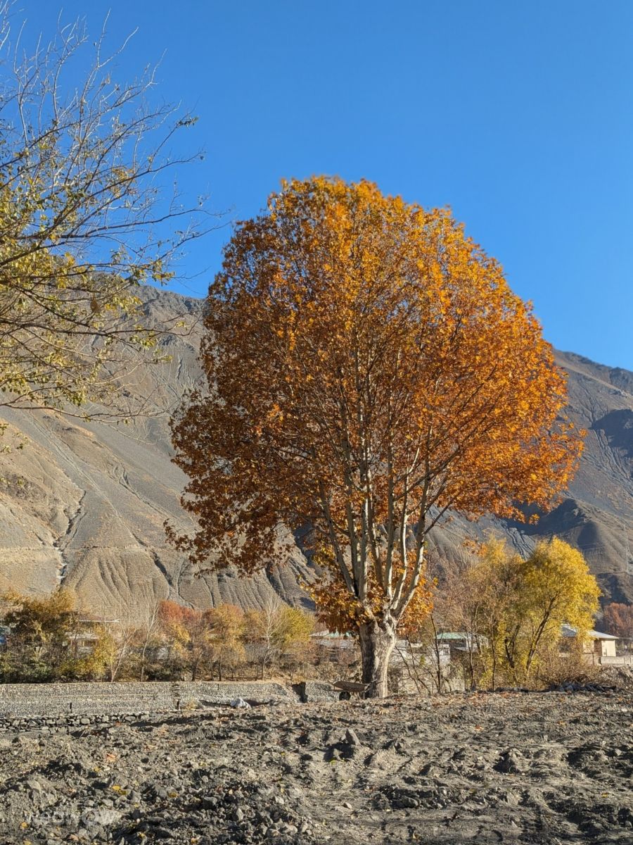 Fotos do tempo em Paquistão. Previsões do tempo com lindas fotos de Trekchitral
