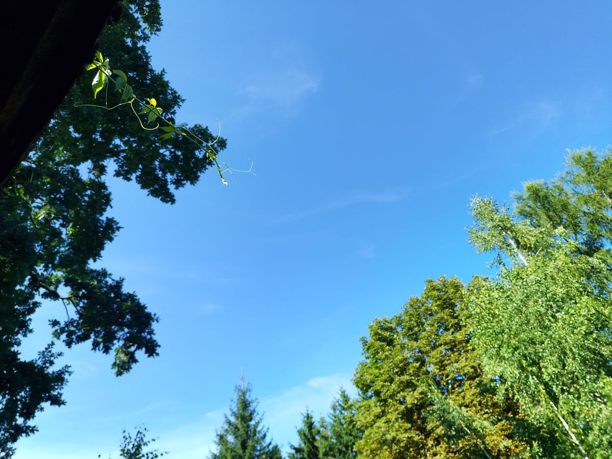 Wetter Photos Woiwodschaft Podlachien. Wettervorhersagen mit schönen Fotos von JacMon