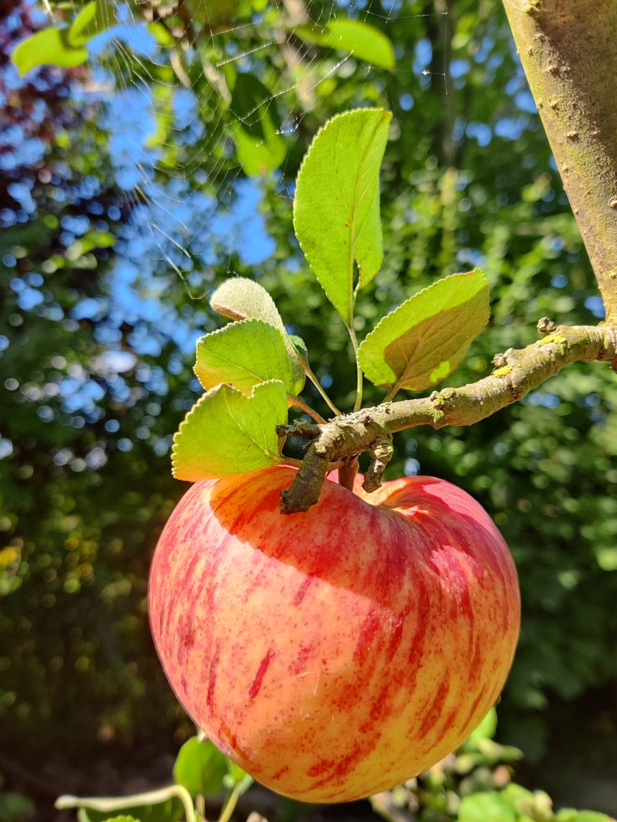 Fotografos Zorrra, Fotos do tempo em Kladow - Weawow
