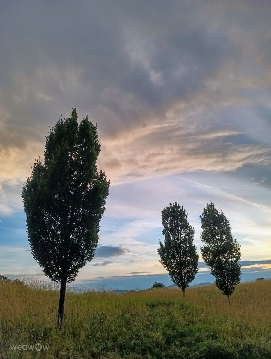 Photographer Kripo, Weather Photos in Oberwaltersdorf - Weawow
