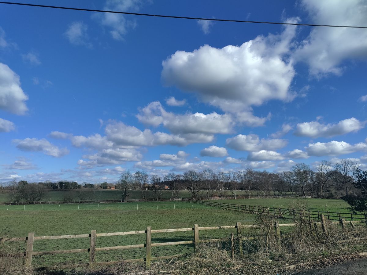 Weather Photos in Lyne Lane. Weather forecasts with beautiful photos by Petewhites